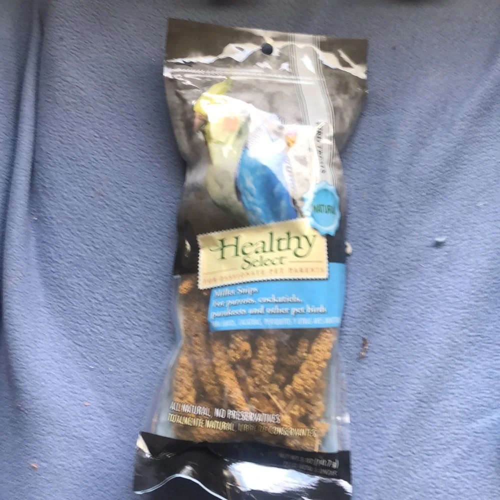 Mutiple bird feeds-
